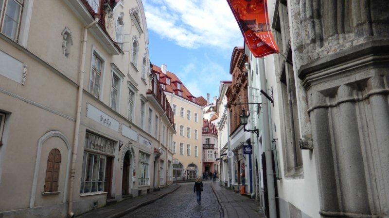 P1000605 - Kopie.JPG